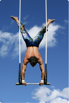 Trapeze artist Trapeze artist
